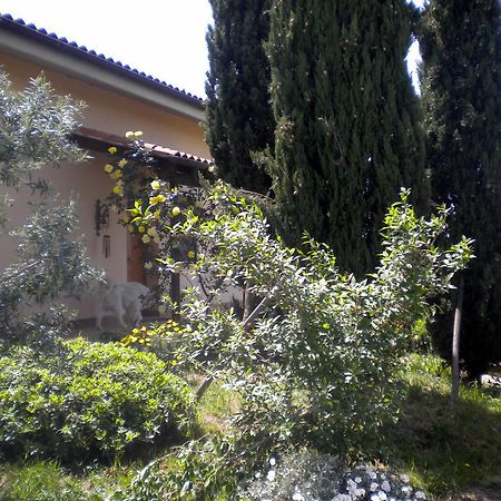 לינה וארוחת בוקר פיאנו רומאנו Le Tre Querce מראה חיצוני תמונה