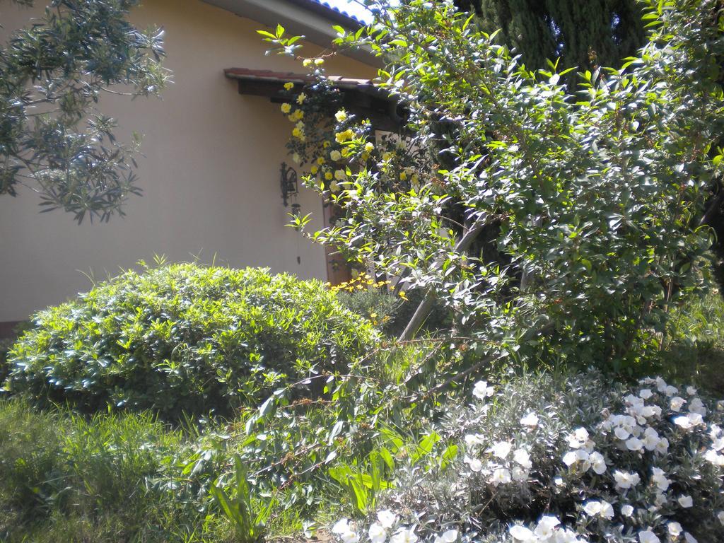לינה וארוחת בוקר פיאנו רומאנו Le Tre Querce מראה חיצוני תמונה
